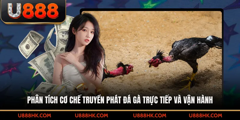 Phân tích cơ chế truyền phát đá gà trực tiếp và vận hành